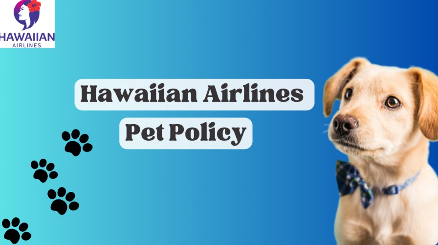 Hawaiian Airlines Pet Policy